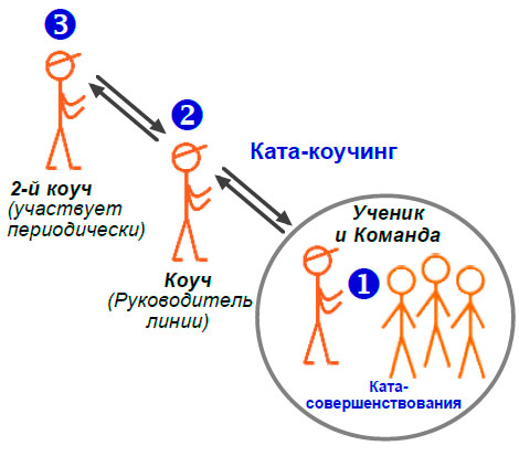 Роли в ката-коучинг.jpg