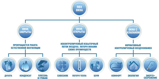 Diagramm2.jpg