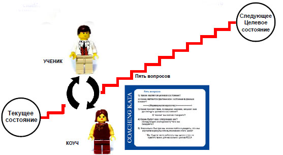 Коучинг цикл в отношении новичков.jpg