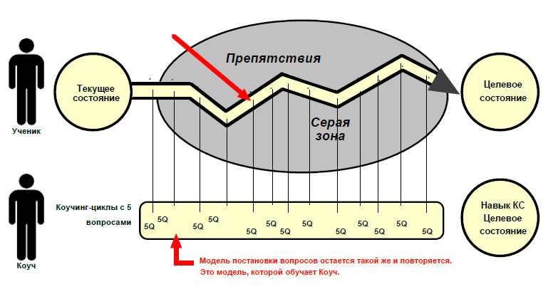 Схема опроса в каждом коучинг-цикле.jpg