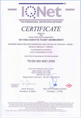Сертификат AGT.jpg
