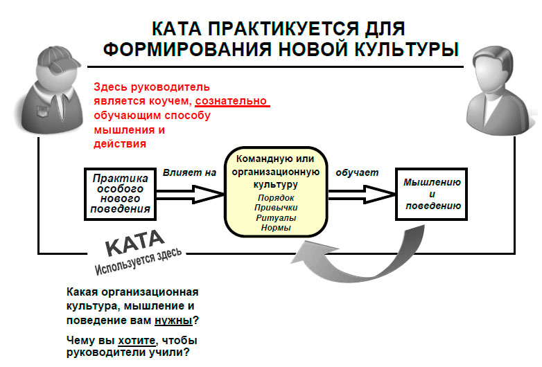 Ката практикуется для формирования новой культуры.jpg