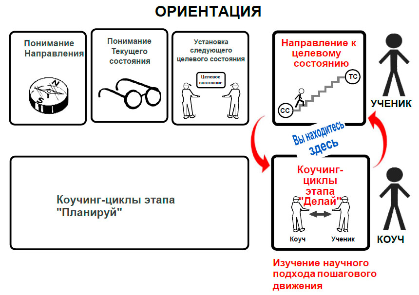 Менторинг и коучинг: основные сходства и различия
