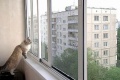Миниатюра для версии от 07:55, 31 июля 2013