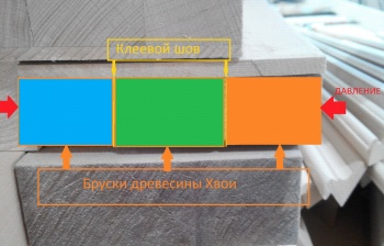 Клеевой шов прессования древесины.jpg